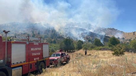 Bingöl'de köyde çıkan yangın ormanlık alana sıçradı
