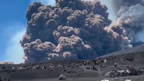 Mount Etna eruption: Moment tourists flee volcano as it spews thick smoke and lava