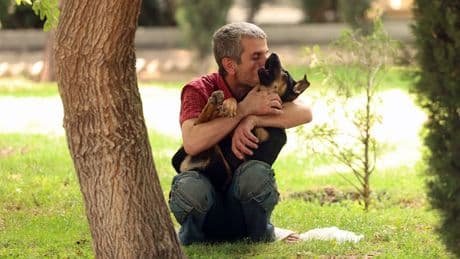 In 20 Städten - Iran verbietet Gassigehen mit Hunden
