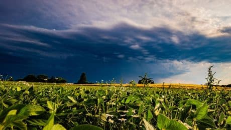 Wetter in Bremen: Meteorologen warnen vor heftigem Starkregen am Wochenende