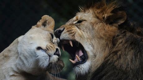 The top photos of the day by AP's photojournalists