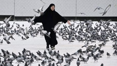 PHOTO COLLECTION: Hajj Pilgrimage