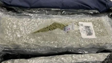 Cannabis seizures at UK airports soar to new highs with Thai gangs responsible