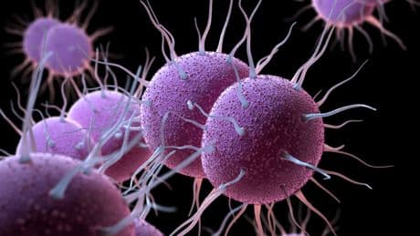 'World-first' gonorrhoea vaccine programme to be rolled out