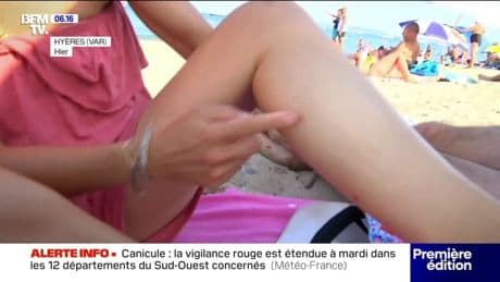Citronnelle, prise anti-moustiques...comment se protéger efficacement des moustiques?