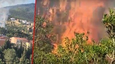 SON DAKİKA YANGIN HABERİ: Aydos Ormanı'nda yangın kısa sürede kontrol altına alındı