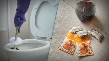 Blitzblankes WC: 10 Hausmittel für ein sauberes Klo