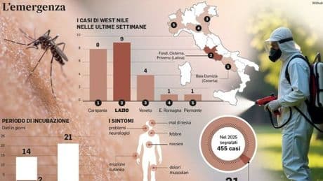 West Nile, come distinguere i sintomi dalla febbre normale? Chi rischia una malattia grave? Domande e risposte