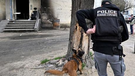 La police judiciaire décrit la « dissémination » inquiétante et la « violence exacerbée » du crime organisé en France