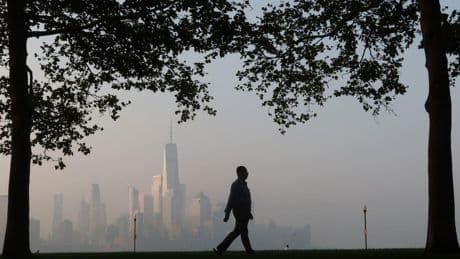 Low Concentrations Of Air Pollution Can Still Impact Health, Study Finds
