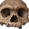 Scientists SOLVE the mystery of the 'Dragon Man': Ancient skull is first ever found from lost group of ancient humans that lived 217,000 years ago