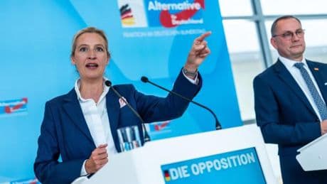 AfD gibt Kandidaten für Bundestagsausschüsse bekannt
