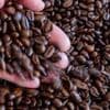 Einzelhandel: Marktforscher: Kaffee verliert junge Käufer