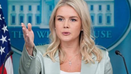 White House doubles down on Trump claim domestic violence should not be counted as a crime: ‘Made up’