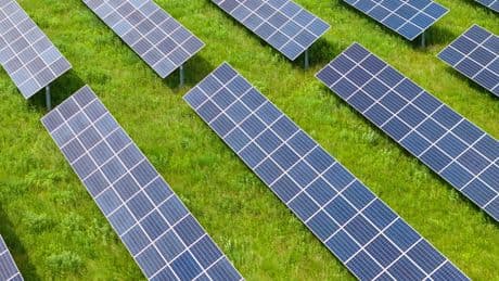 Energy Department to Gut Funding for Solar and Wind Projects