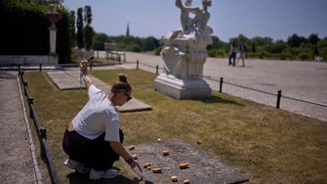 Many Germans believe Frederick the Great brought potatoes to the country. It’s not true