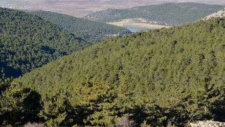 Niğde'de ormanlık alanlara girişler yasaklandı