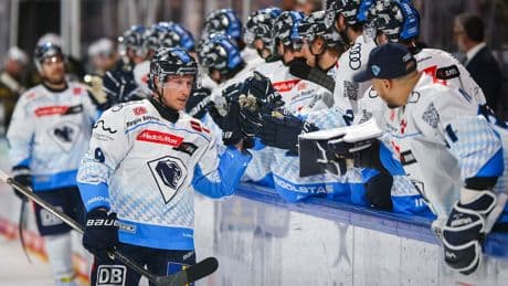 Deutsche Eishockey Liga: Quintett verlängert beim ERC Ingolstadt