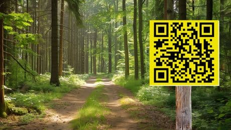QR-Code im Wald: Das passiert, wenn Sie ihn mit dem Handy scannen