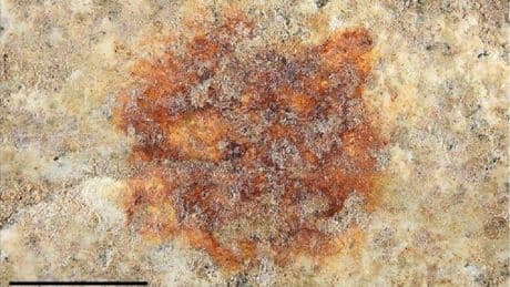 Descubierta en Segovia la huella dactilar humana más antigua del mundo
