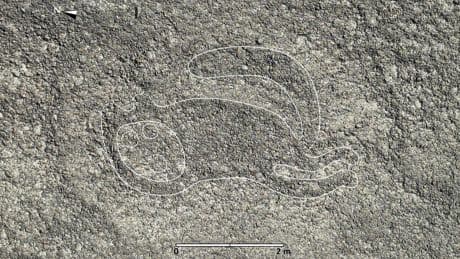 Pérou : l’Unesco s’alarme pour la préservation des célèbres géoglyphes de Nazca