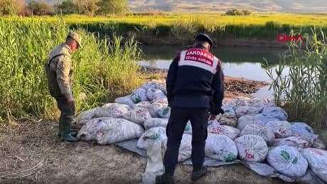 Van'da 22 ton 475 kilogram inci kefali ele geçirildi
