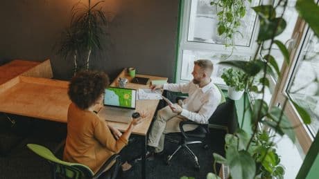 Flourishing: Büros als blühende Landschaften
