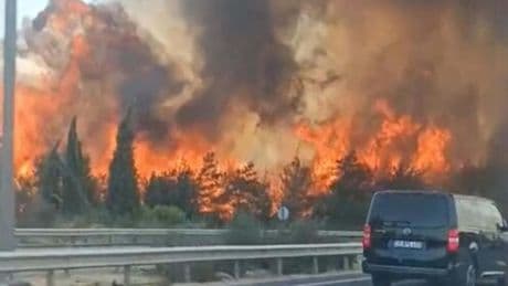 İzmir Buca’da orman yangını: Kontrol altına alındı
