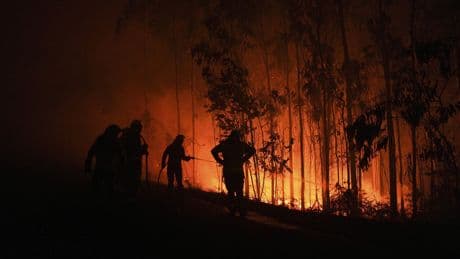 Detenida una vecina de Carballo (La Coruña) acusada de provocar 11 incendios forestales