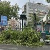 Orages : entre 500 et 1 000 arbres "sévèrement touchés" à Paris où plusieurs parcs restent fermés "jusqu'à nouvel ordre"