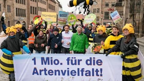 "Rettet die Bienen": Schadet Bayerns Bürokratieabbau dem Artenschutz in Bayern?