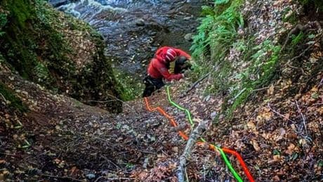 Man rescued from Scots Outlander beauty spot after becoming stranded in gorge