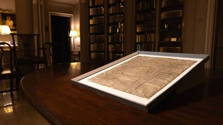 Geschichte: Harvard-Uni: Kopie der Magna Carta entpuppt sich als echt