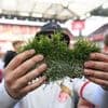 Aus dem Müngersdorfer Stadion: Fans verkaufen Kölner Aufstiegsrasen im Internet