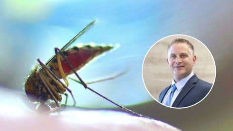 Scott Braunstein, médico, sobre por qué te pican los mosquitos: "Tu grupo sanguíneo es clave"