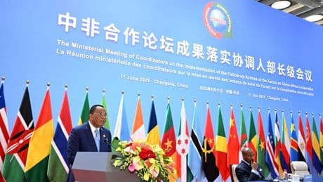 Avant les droits de douane américains, la Chine ouvre ses portes aux exportations africaines