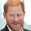'Charles is currently less irritated with Harry than William': Tina Brown claims tension are brewing over heir to the throne's workload - as she reveals why King feels subtly 'criticised' by his older son