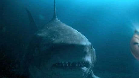 Analizan un diente de megalodón y descubren que estábamos muy equivocados sobre su dieta