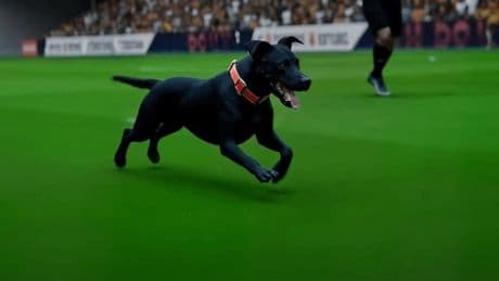 Battersea organises virtual pitch invasion of AI dogs to promote adoption