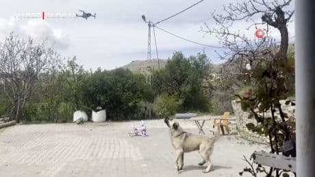 Köpeğin dron ile imtihanı gülümsetti
