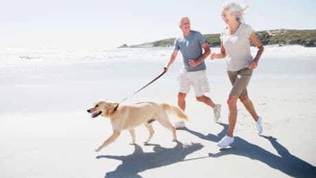 Reisen mit Tieren - So wird es ein toller Urlaub mit Hund
