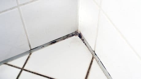 Achtung, Schimmel-Hotspot: So bleibt Ihr Badezimmer auch an heißen Juli-Tagen schimmelfrei
