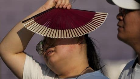 Temperature records tumble as heat bakes southwest B.C.