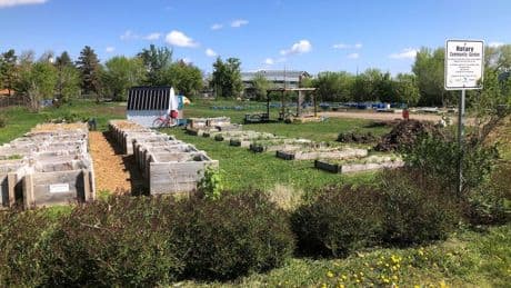 Saskatoon community garden gets evicted