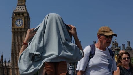Wildfire warning issued for London as temperatures soar across UK