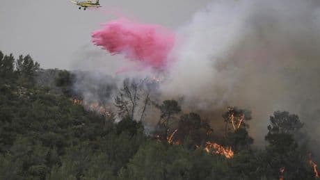A wildfire closes main highway linking Tel Aviv to Jerusalem and sends 12 people to the hospital