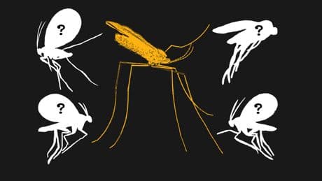 The search for Earth’s most mysterious creatures is turning up extraordinary results
