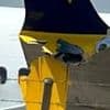 Ryanair jet from UK crashes into barrier on runway at Greek airport wrecking the Boeing 737's wing after suffering 'severe turbulence' during flight