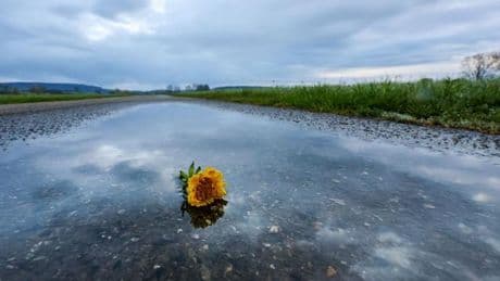 Wetter: Wolken und Regen nach Ostern