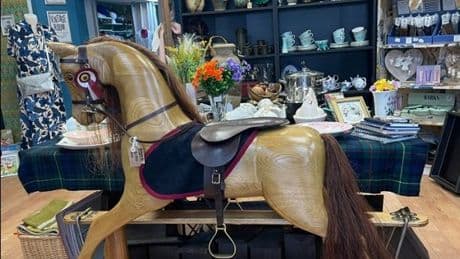 Hand crafted rocking horse is hoping to carve a tidy sum for Stirlingshire hospice